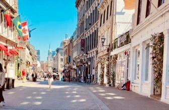 Discover Downtown Montreal